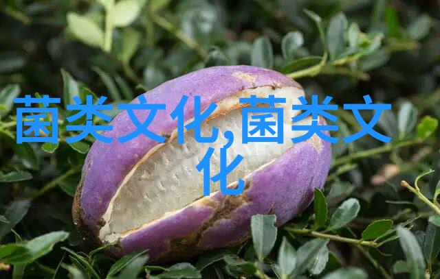 酬酢宴饮尚时鲜明清时代的菌菜