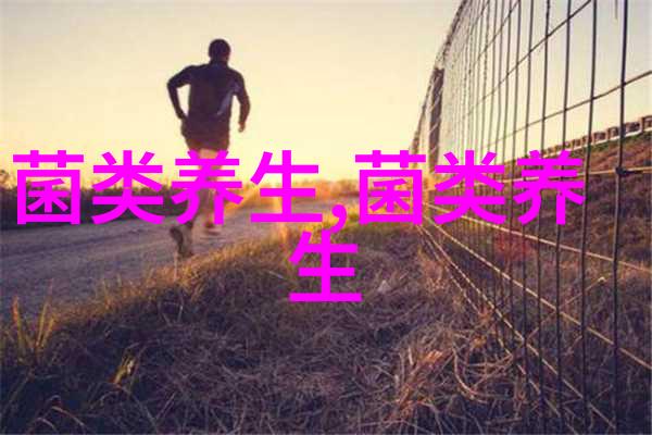 一季度云南对越南进出口蔬菜及食用菌增长355