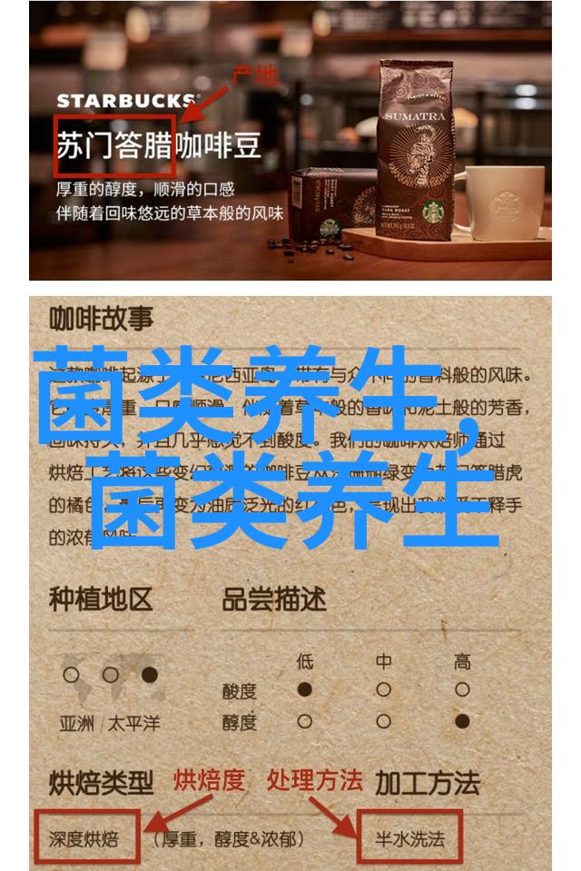 桑黄泡水喝的禁忌