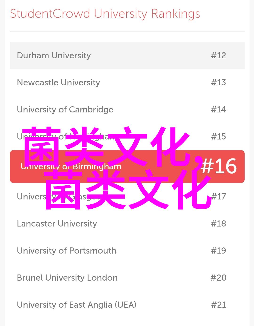 从古至今人们对菇蕈的美味始终萦绕舌尖