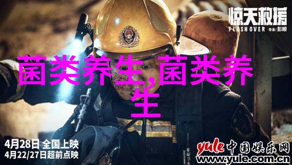 辽宁省部署并启动食用菌产业提质增效行动