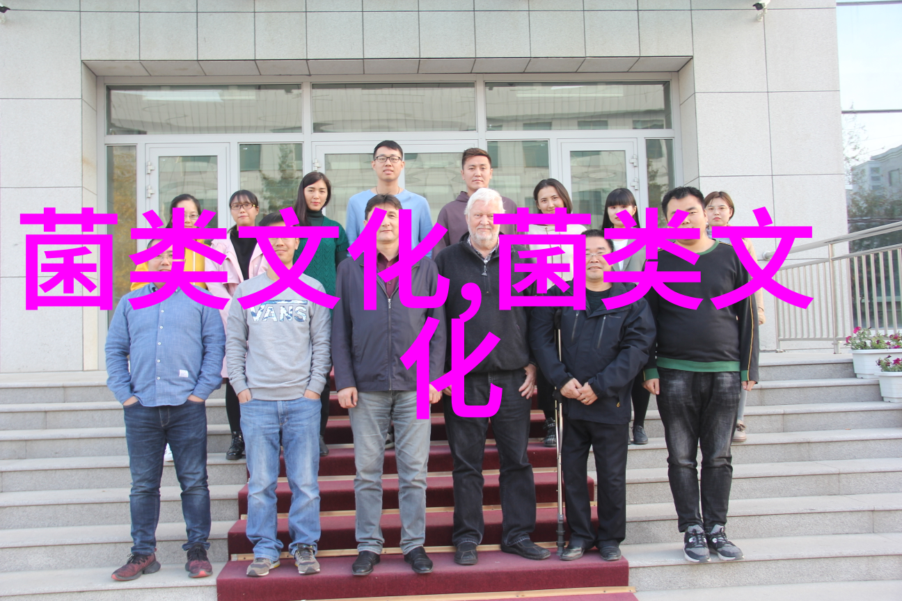 近代桑黄的研究起始于哪里